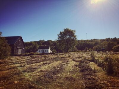 Farming at Every Scale Image